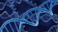 DNA, Masa Depan Penyimpanan Data Internet