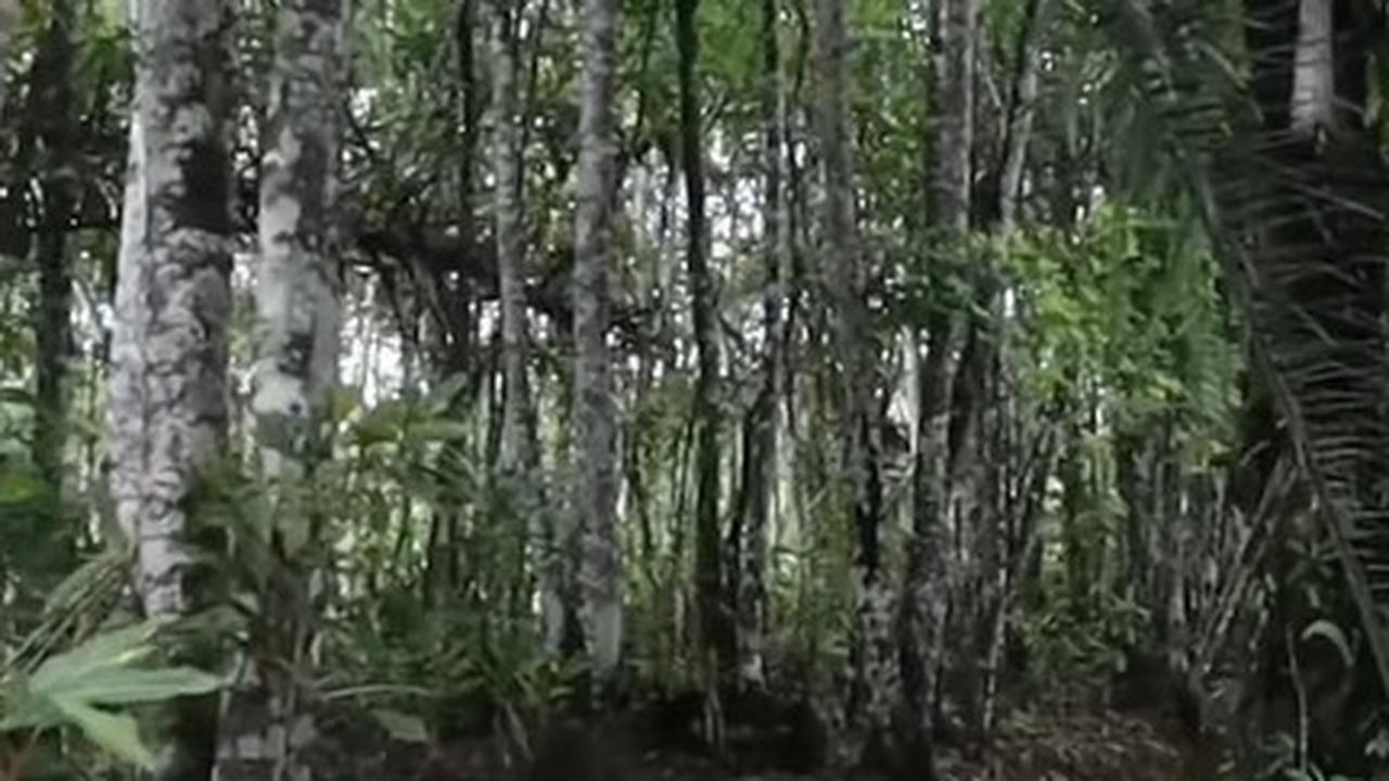 Kisah Kampung di Pelosok Gunung Tasikmalaya yang Belum Teraliri Listrik, Warga hanya Bisa Pakai Satu Lampu di Rumah