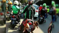 10 Potret Perjuangan Ojek Online Antarkan Barang Unik dan Aneh