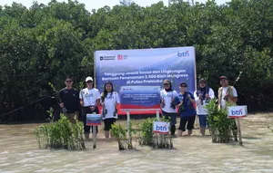 Hari Mangrove Sedunia, 2.500 Bibit Ditanam di Pulau Pramuka