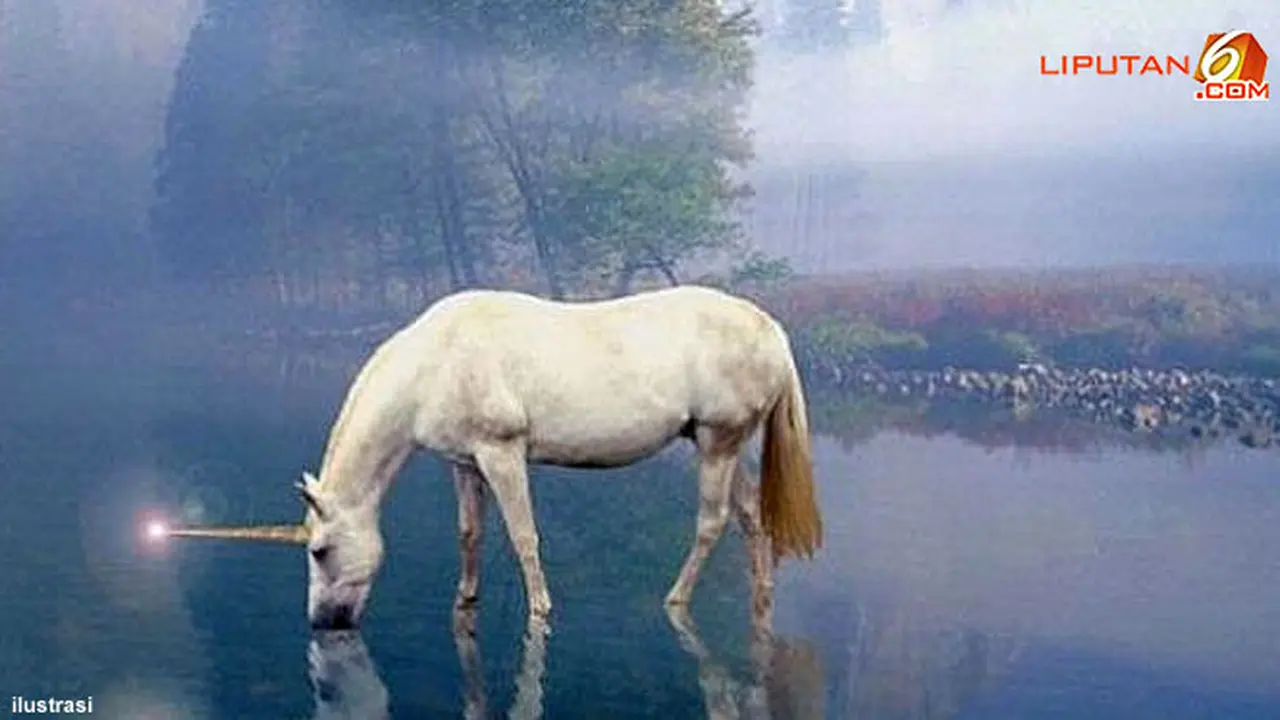 unicorn121204a.jpg