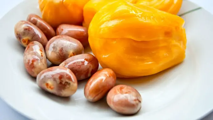 3 Khasiat Nangka untuk Menuntaskan Masalah Kulit