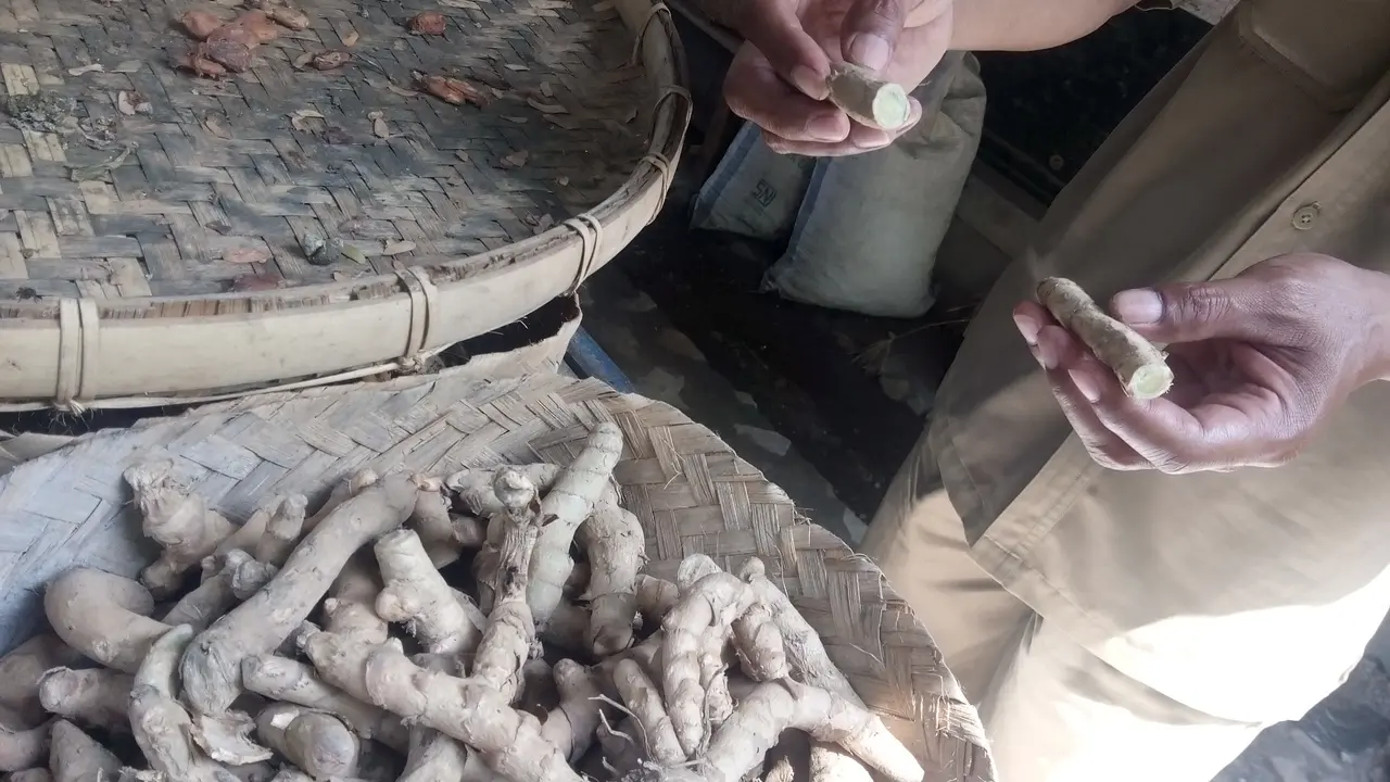 Hidup Sehat dengan Jamu