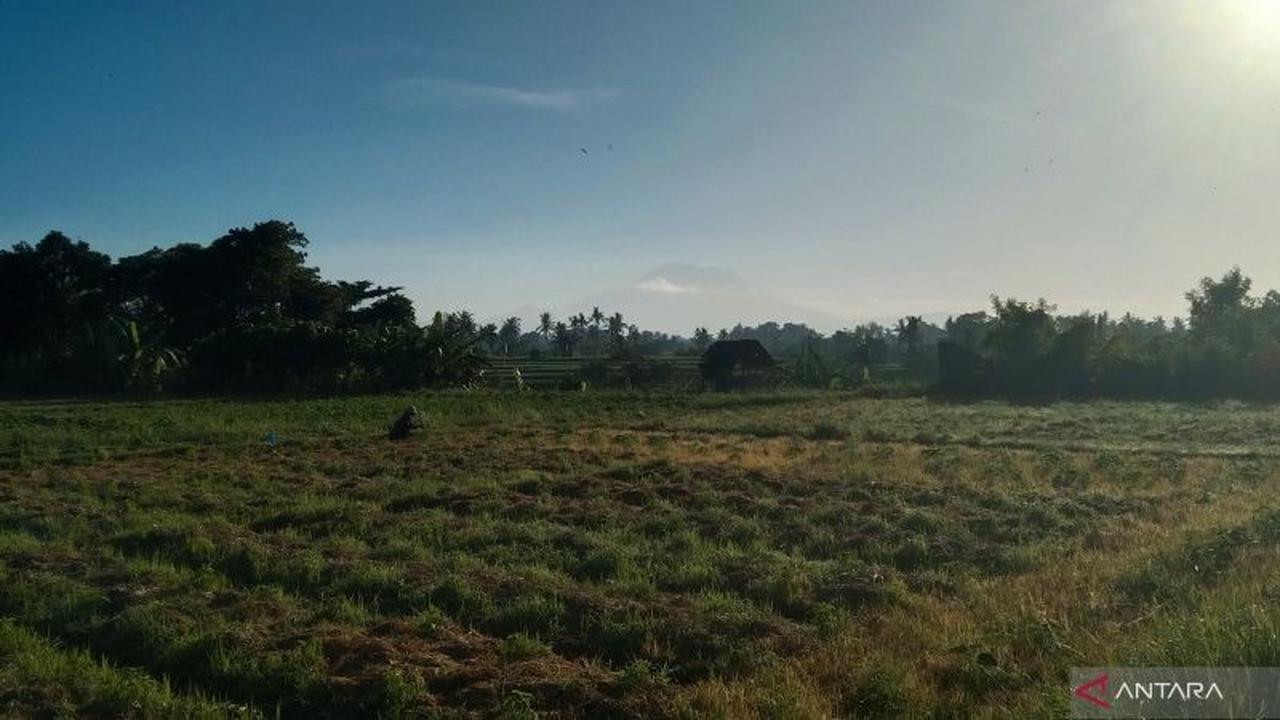 Suhu Dingin Bali Terasa di Malam Hari, Dipicu Massa Udara dari Australia