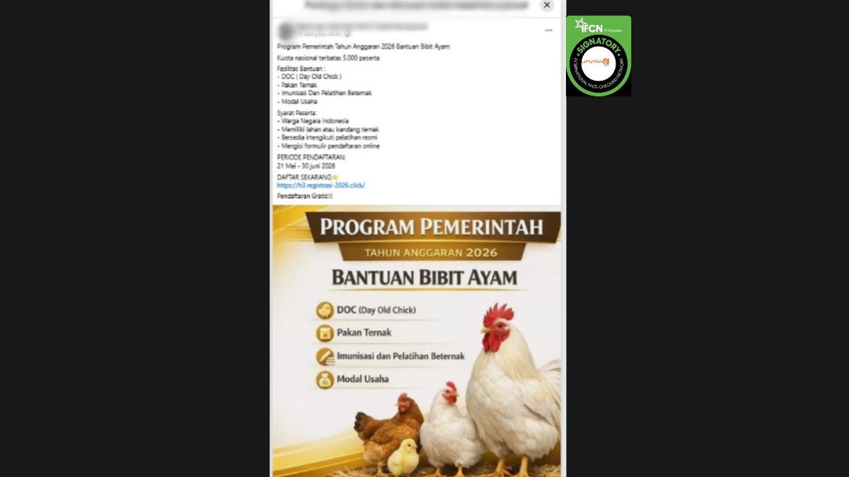 Cek Fakta: Tidak Benar Link Pendaftaran Bantuan Bibit Ayam Periode 21 Mei - 30 Juni 2026