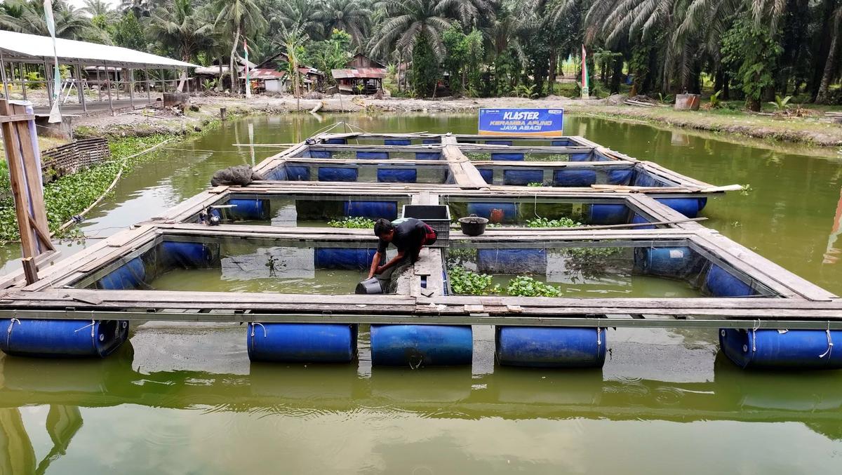 Pemberdayaan BRI Ungkit Perekonomian Desa Empang Baru di Kabupaten Siak, Riau