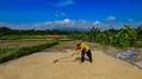 Percepatan penyerapan ini memperkuat ketahanan pangan nasional di tengah dinamika pasar global. Tampak dalam foto, petani memanen padi jenis Inpari 32 di Kampung Tematik Mulyaharja, Bogor, Jawa Barat, Rabu (6/5/2026). (merdeka.com/Arie Basuki)