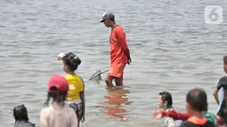 Petugas membawa jaring saat mencari ubur-ubur di Pantai Lagoon, Ancol Taman Impian, Jakarta, Rabu (9/10/2019). Kawanan ubur-ubur yang bermunculan berjenis Spotted Jellyfish, Blubber, dan Sea Netle. (merdeka.com/Iqbal Nugroho)
