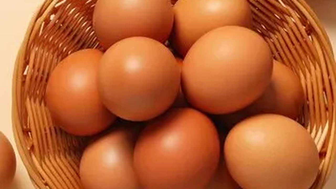 Manfaat Telur bagi Kesehatan