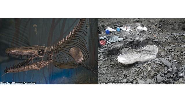 Tylosaurus - monster laut purba