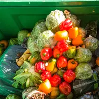 Sampah makanan/copyrigth shutterstock/joerngebhardt68