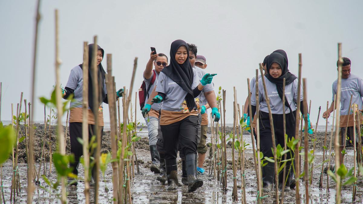 Mitigasi Perubahan Iklim, Nestle Tanam Bakau di 3 Provinsi