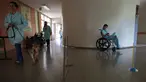 Perawat Priscila Cremer berjalan bersama anjing peliharaan bernama Pacato untuk mengunjungi pasien sebagai bagian dari program terapi hewan peliharaan setiap hari Kamis di Rumah Sakit Dukungan, Brazil. (17/11/2016). (AP Photo / Eraldo Peres)