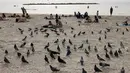 Orang-orang duduk di pantai di kota pesisir Israel Tel Aviv (19/4/2021). Dengan lebih dari setengah populasi divaksinasi penuh dalam salah satu kampanye inokulasi COVID-19 tercepat di dunia. (AFP/menahem kahana)