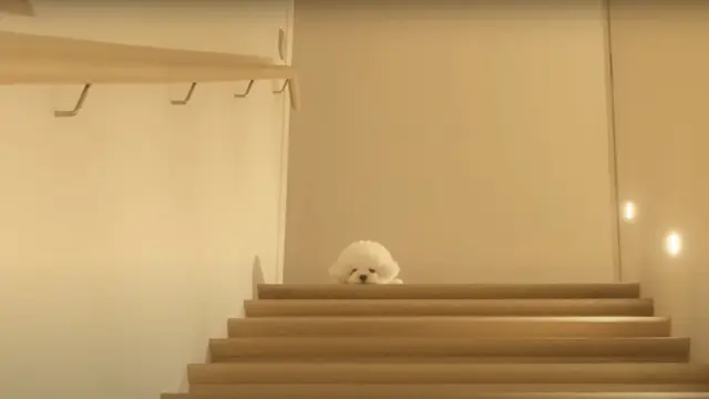 5 Potret Rumah Mewah Song Hye Kyo, Bergaya Minimalis Sangat Estetik (credit: YouTube/Kyang Ming Kyung)