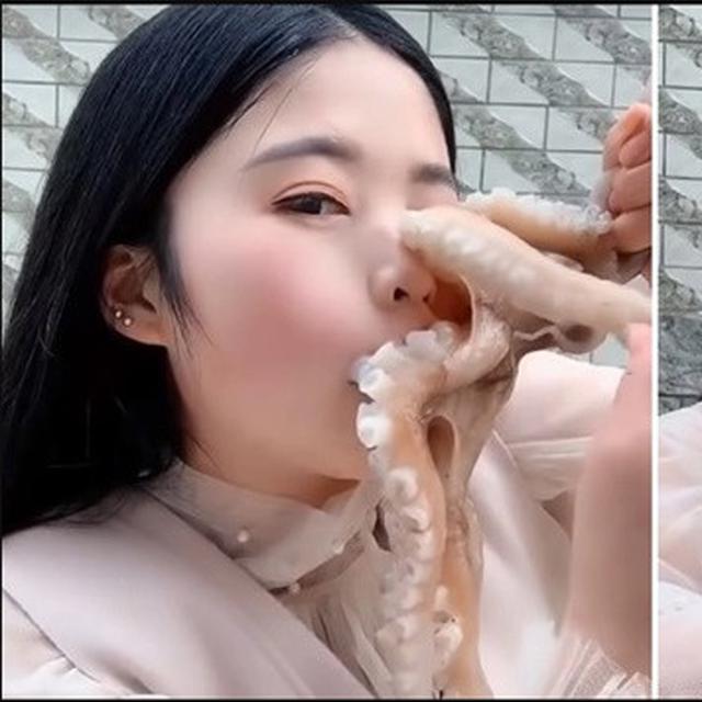 Image result for vlogger makan gurita hidup