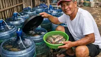 Cara Ternak Nila Galon Bekas untuk Usia 55 Tahun, Lebih Mudah dan Cepat Panen
