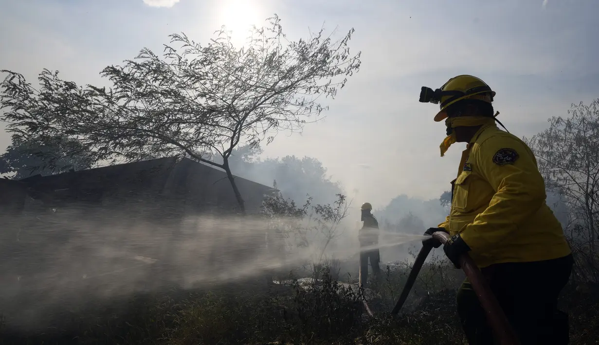 Seorang petugas pemadam kebakaran sukarela menggunakan tusukan dari selang untuk membasahi sisa-sisa gubuk yang terbakar selama kebakaran semak di lingkungan Banco San Miguel di Asuncion, Paraguay (18/1/2022). (AP Photo/Jorge Saenz)