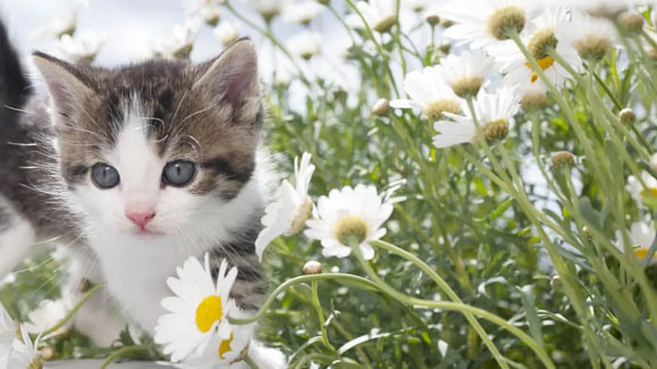Foto: shutterstock