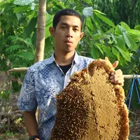 Mengikuti porses panen madu hutan Flores menjadi atralsi wisata yang unik. (Edy Suherli/Fimela.com)