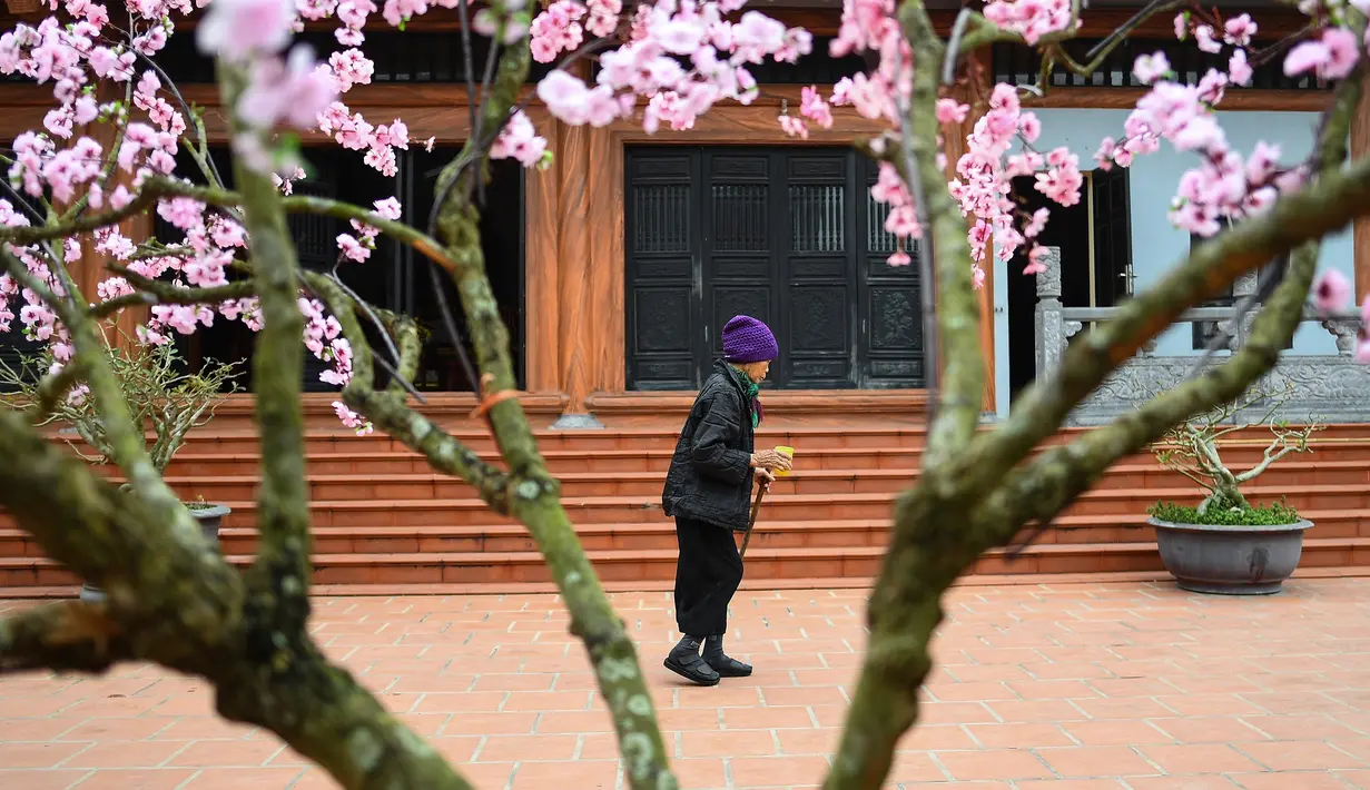 Penderita kusta meninggalkan pagoda setelah berdoa di kompleks RS Van Mon Leprosy, Thai Binh, Vietnam, Kamis (20/1). Kendati sembuh, para pasien ini harus hidup dengan cacat yang disebabkan oleh kusta. (Manan Vatsyayana/AFP)