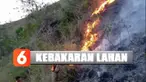 Lahan 55 hektare di wilayah Pegunungan Lawakan, Sulawesi Selatan, terbakar.