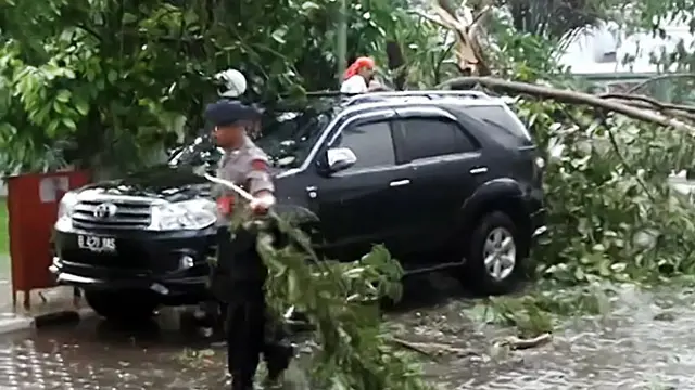 Pohon Tumbang, Mobil Pegawai BPK Jadi Korban