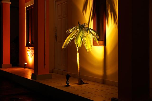 7. Gunakan Pencahayaan Otomatis atau Timer Lampu