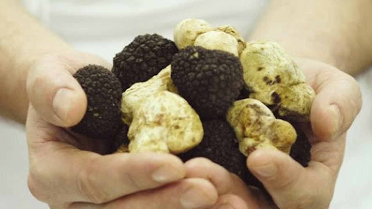 truffle