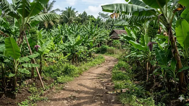 Kombinasi Jalan Setapak dan Bedengan Buah (Foto: Gemini AI)