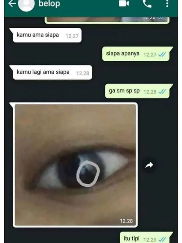 Kocak, 7 Chat Ketahuan Bohong oleh Pacar