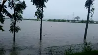 Sejauh mata memandang, banjir menggenangi persawahan dan permukiman warga Kebumen. (Foto: Liputan6.com/Pusdalops BPBD Kebumen /Muhamad Ridlo)