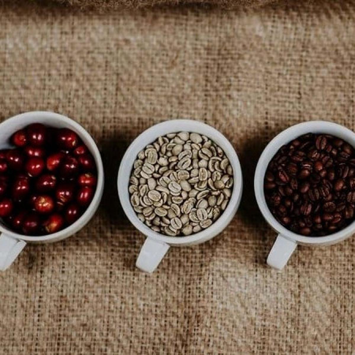 ilustrasi kopi