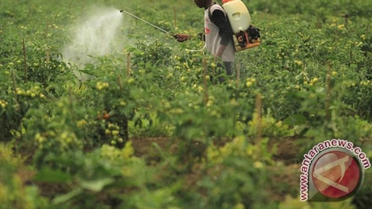 Waspada Akumulasi Logam Berat dalam Pangan: Ancaman Tersembunyi di Balik Kesegaran