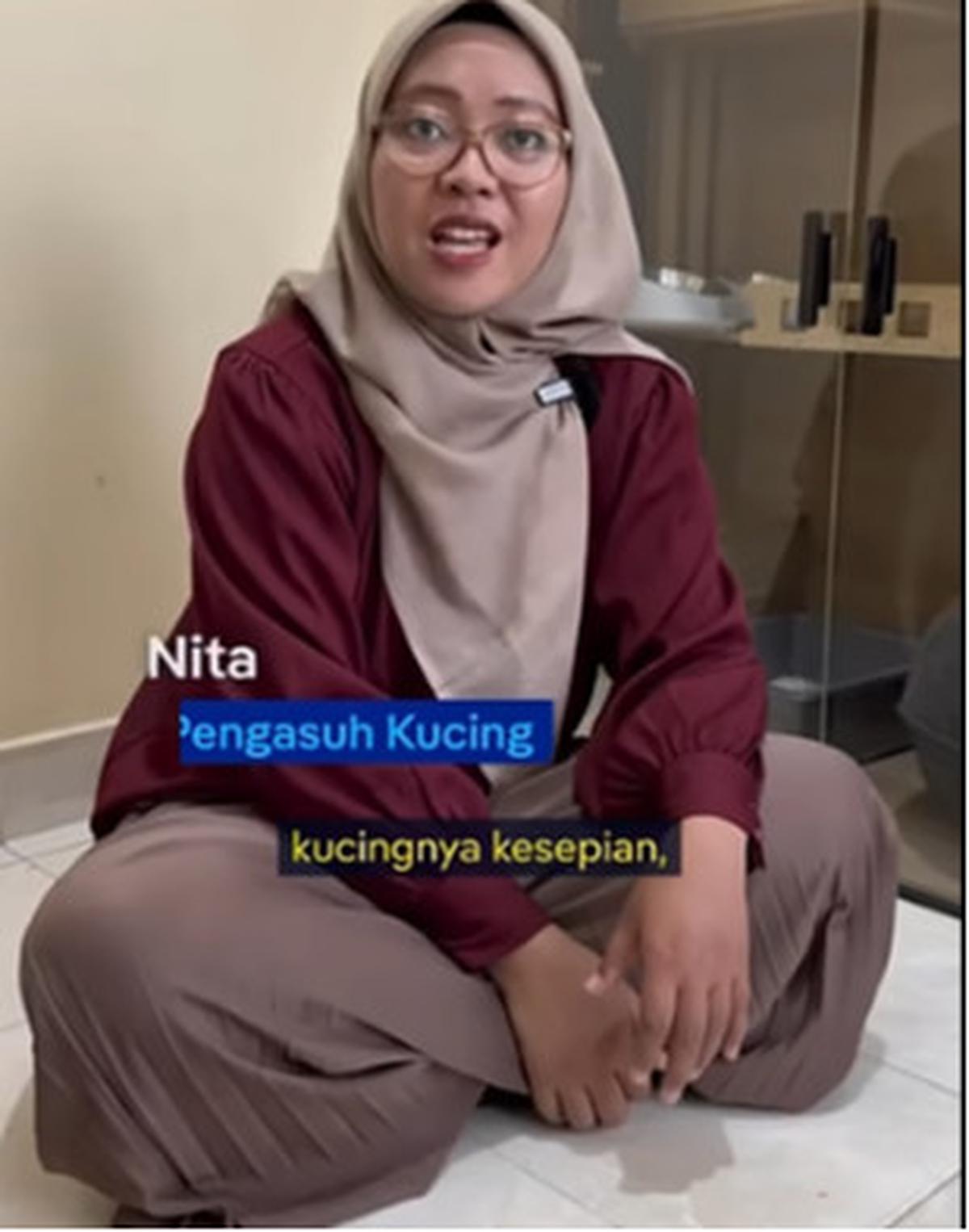 Profesi Catsitter