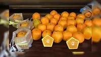 Umumnya jeruk berbentuk bulat, tapi berbeda dengan yang ada di Jepang, buah jeruk ini berbentuk segi lima. 