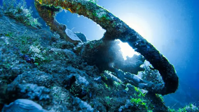 Pulau Morotai: Surga Bawah Laut Tersembunyi dengan Keindahan dan Keajaibannya