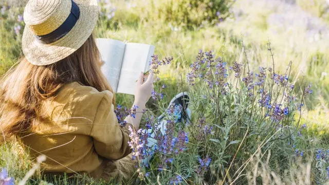 Memilih Waktu yang Tepat Untuk Membaca