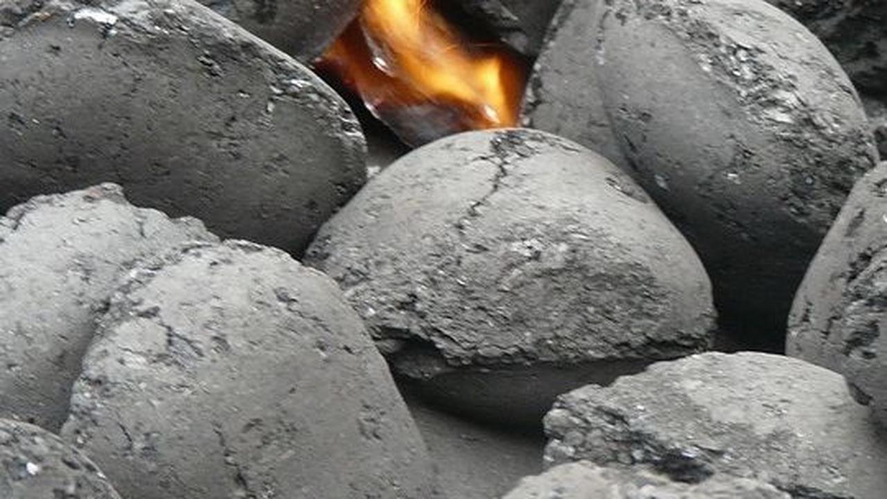 Memperingati Hari Kemerdekaan Energi Sedunia, Kurangi Polusi dan Penggunaan Energi Fosil