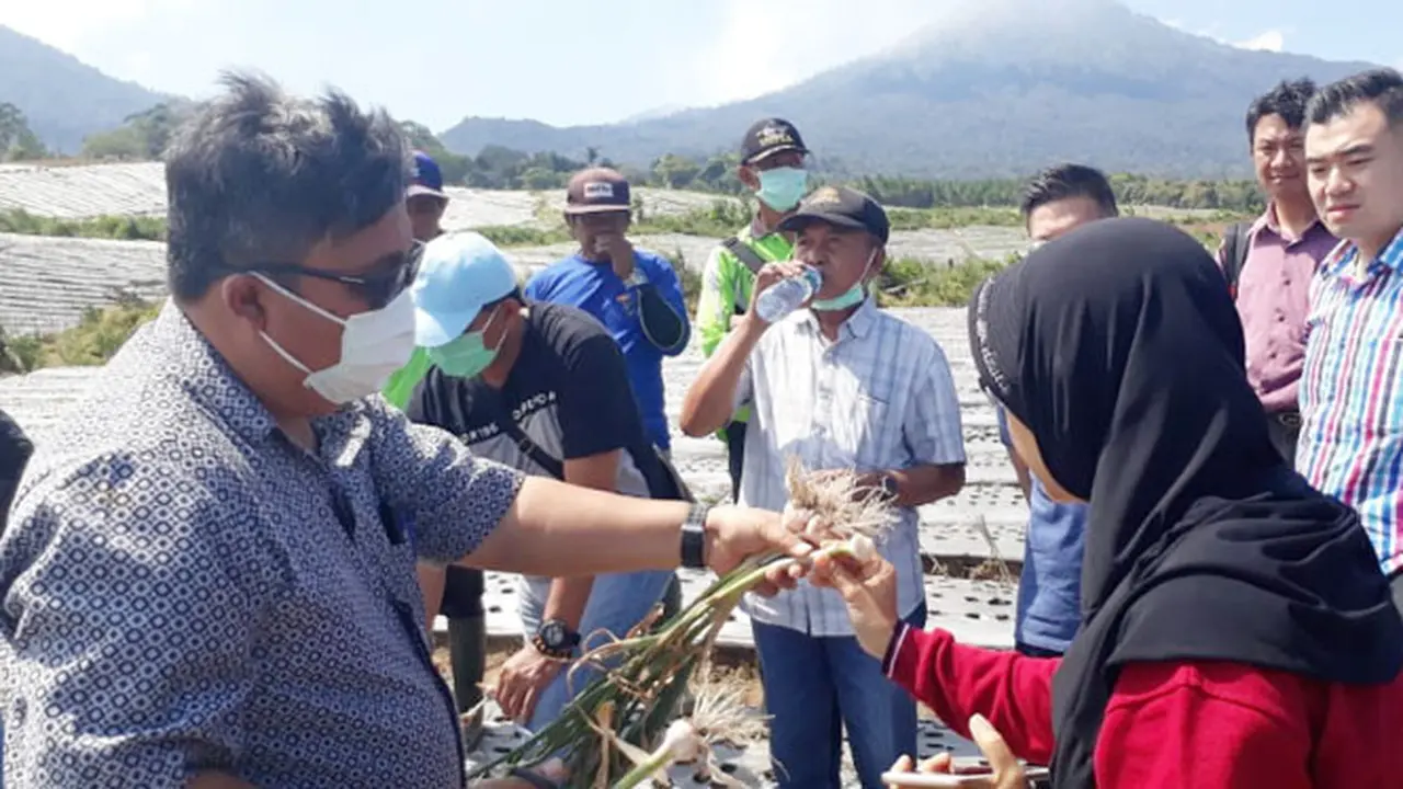 Target Mandiri Bawang Putih 2021, Banyuwangi Mantapkan Langkah Sebagai Sentra Bawang Putih