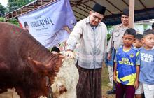 Bupati Bintan Serahkan Sapi Kurban Presiden, Perkuat Kebersamaan Jelang Idul Adha 2026