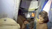 Kronologi Mendebarkan Nenek 64 Tahun di Thailand Dililit Ular Piton 2 Jam dan Selamat