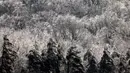 Pohon-pohon tertutup salju saat musim dingin di West Orange, New Jersey (18/12/2019). Suhu dingin tersebut diharapkan turun pada Kamis pagi. (Rick Loomis/Getty Images/AFP)