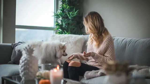 perks of being a homebody: play with pets