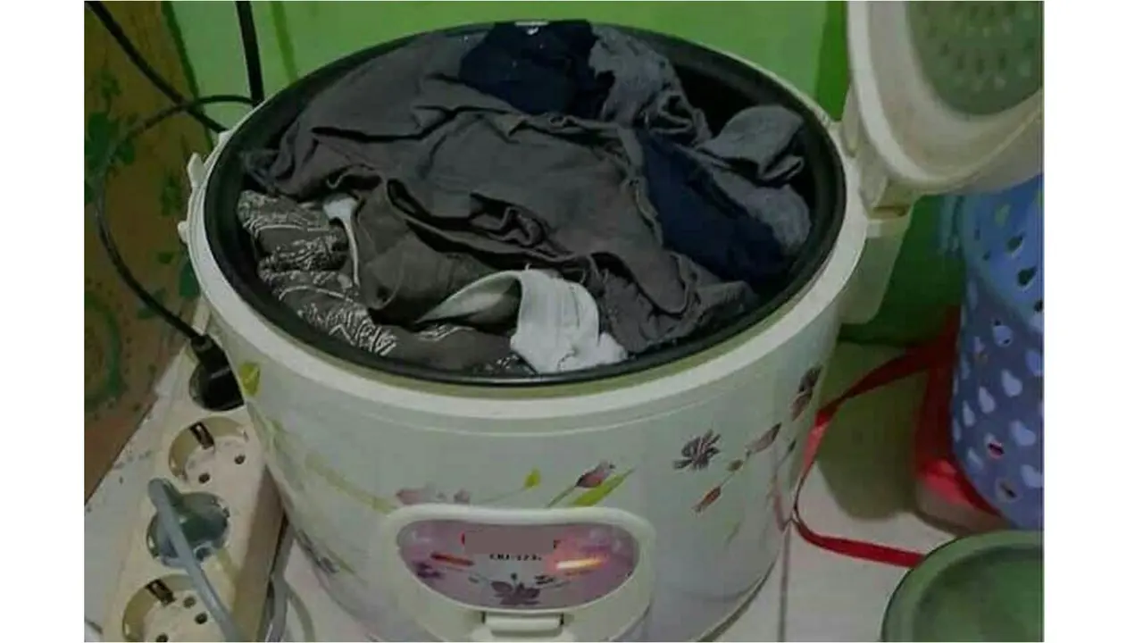 6 Fungsi Lain Rice Cooker Ini Nyeleneh, Bikin Geleng Kepala