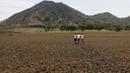 Sejumlah anak berlari di daratan bekas Danau Atescatempa yang telah mengering, Guatemala, Jumat (5/5). Dari bulan Juli, El Nino, sistem cuaca tidak teratur yang menaikkan suhu Samudera Pasifik dan menyebabkan kekeringan. (AFP PHOTO / Marvin RECINOS)