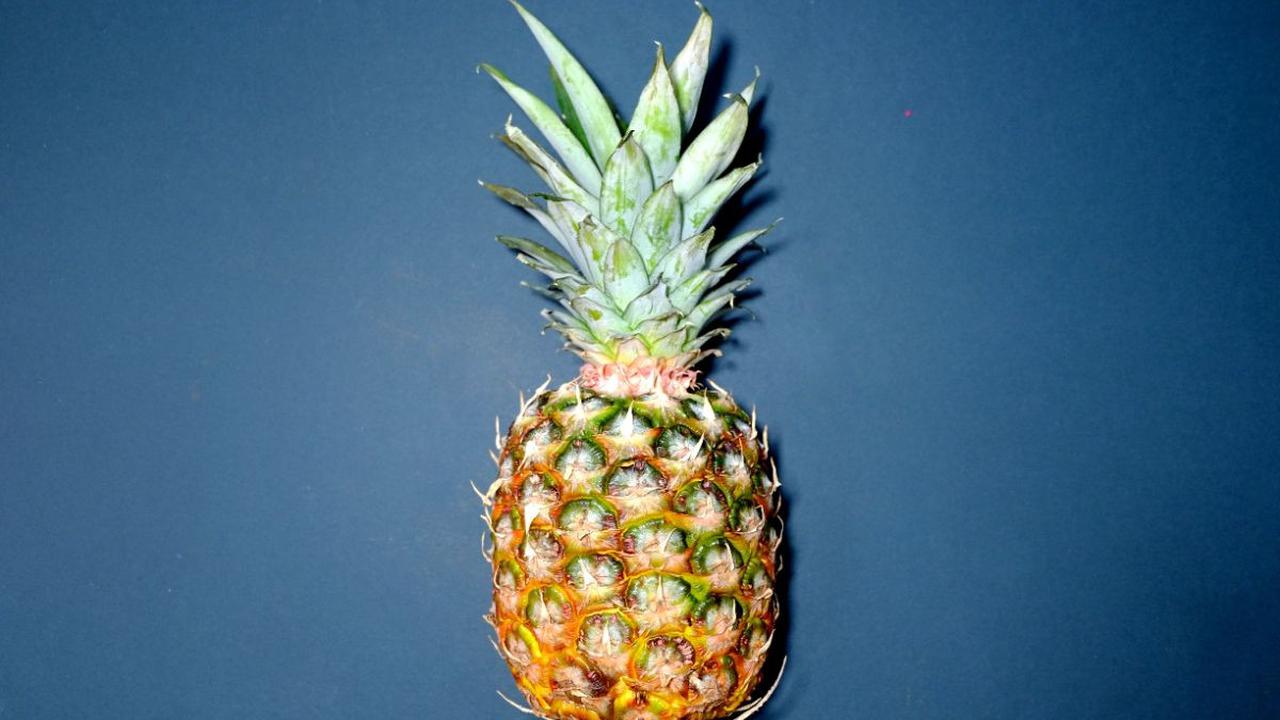 Nanas