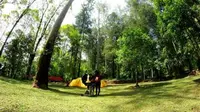 Mojosemi Forest Park (Sumber: Dinas Kominfo Kab. Magetan)