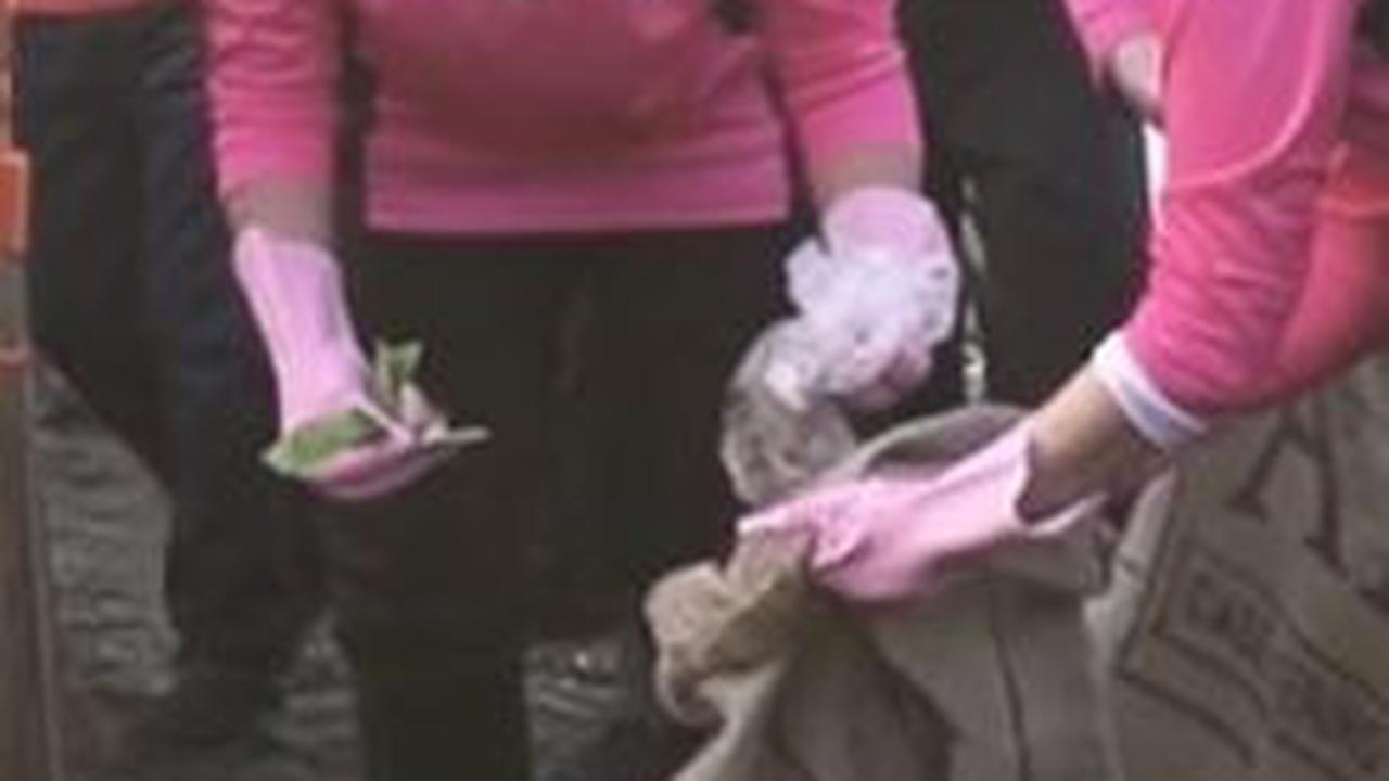 Istri Jenderal Bintang Empat Pungut Sampah, Netizen: Ada yang Pakai Sumpit, Tapi Ibu Pakai Tangan Kosong