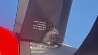 Penjelasan Wings Air Soal Video Viral Baling-Baling Pesawat Diikat Kabel Ties